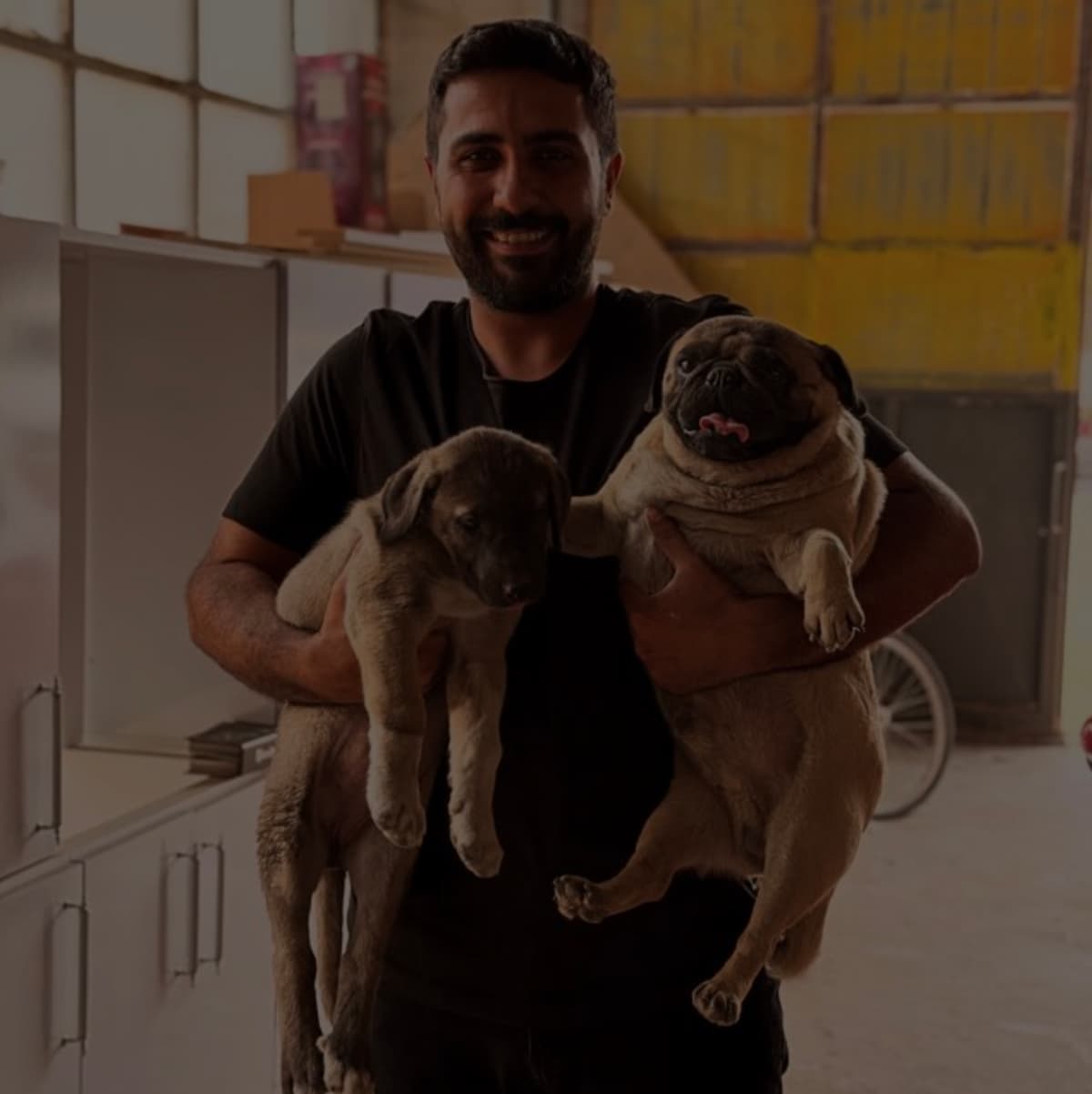 Kırşehir Karakurt Veteriner Kliniği - Veteriner Hekim köpeklerle birlikte